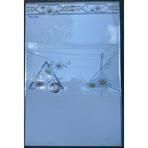 Gạch ốp tường giá rẻ 300x600 TQA-3614