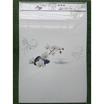 Gạch ốp tường giá rẻ 300x600 TQA 36201