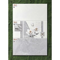 Gạch ốp tường giá rẻ 30x60 EC36048S