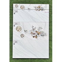 Gạch ốp tường giá rẻ 30x60 F36034R