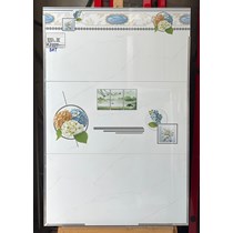 Gạch ốp tường giá rẻ 30x60 M36572