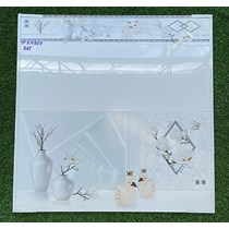 Gạch ốp tường Hà Thanh 40x80 K480V