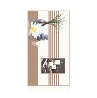 Gạch ốp tường Perfetto-Hoàn Mỹ 30x60 4129