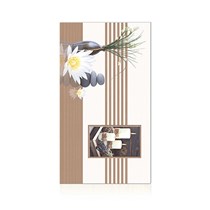 Gạch ốp tường Perfetto-Hoàn Mỹ 30x60 4129
