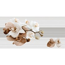 Gạch ốp tường Prime 30x60 8453