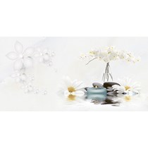 Gạch ốp tường Prime 30x60 8564