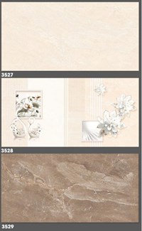 Gạch ốp tường Tasa 30x60 3527-3528-3529