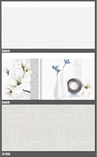 Gạch ốp tường Tasa 30x60 3664-3665