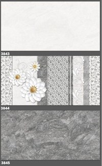 Gạch ốp tường Tasa 30x60 3843-3844-3845