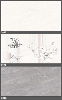 Gạch ốp tường Tasa 30x60 3971-3972-3973