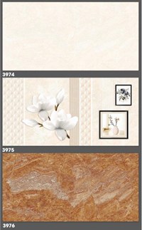 Gạch ốp tường Tasa 30x60 3974-3975-3976