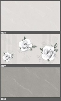 Gạch ốp tường Tasa 40x80 4828-4829-4830