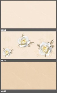 Gạch ốp tường Tasa 40x80 4834-4835-4836