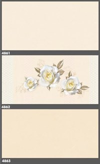 Gạch ốp tường Tasa 40x80 4861-4862-4863