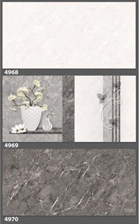 Gạch ốp tường Tasa 40x80 4968-4969-4970