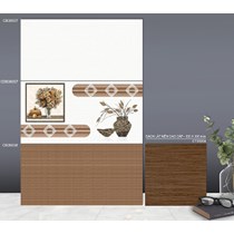 Gạch ốp tường TTC 30x60 CB36037-CB36038