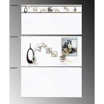 Gạch ốp tường TTC 30x60 CB36039