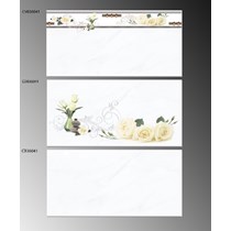 Gạch ốp tường TTC 30x60 CB36041