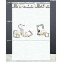 Gạch ốp tường TTC 30x60 CB36059