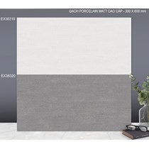 Gạch ốp tường TTC 30x60 EX36319-EX36320 đá nhám