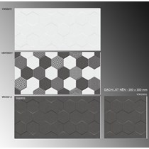 Gạch ốp tường TTC 30x60 VM36011-VM36012