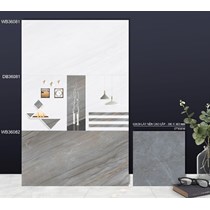 Gạch ốp tường TTC 30x60 WB36081-WB36082
