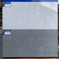 Gạch ốp tường Viglacera 30x60 ASD 3629-3630GP