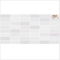 Gạch ốp tường Vitaly 30x60 AL3613
