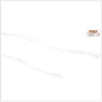 Gạch ốp tường Vitaly 30x60 SQ3616