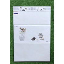 Gạch ốp tường Ý Mỹ 30x60 C36017S