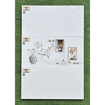 Gạch ốp tường Ý Mỹ 30x60 S36049R