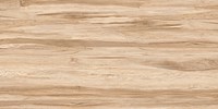 Gạch Prime 60x120 8317
