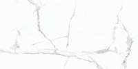 Gạch Prime 60x120 8321