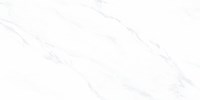 Gạch Prime 60x120 8342