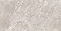Gạch Prime 60x120 8359
