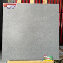 Gạch Prime 60x60 đá mờ NY66126