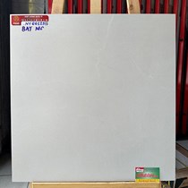 Gạch Prime 60x60 đá mờ NY66129