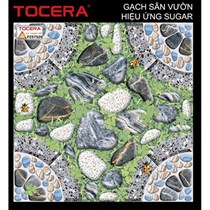 Gạch sân vườn 50x50 P57929