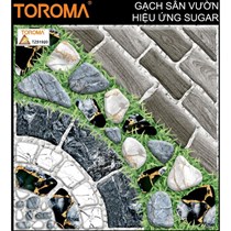 Gạch sân vườn 50x50 TZ51920