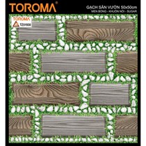 Gạch sân vườn 50x50 TZ51930