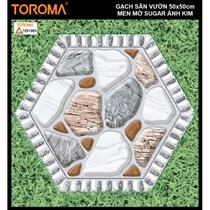 Gạch sân vườn 50x50 TZ51963
