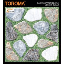 Gạch sân vườn 50x50 TZ51966