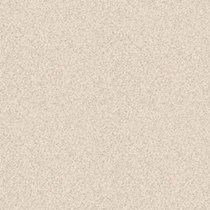 Gạch sân vườn Bạch Mã 40x40 HG4001