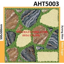 Gạch sân vườn giá rẻ 50x50 AHT5003