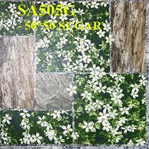 Gạch sân vườn giá rẻ 50x50 SA505