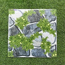 Gạch sân vườn giá rẻ 50x50 TQA5502