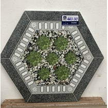 Gạch sân vườn lục giác 1663