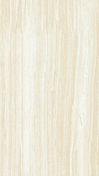 Gạch Taicera 60x120 đá bóng GP12206