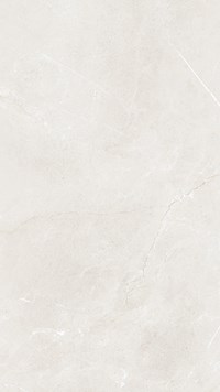 Gạch Taicera 60x120 mờ G12845