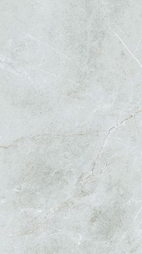 Gạch Taicera 60x120 mờ G12848